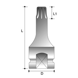 TX55 1/2" Drive 55mm Torx Impact Driver - Tamperproof